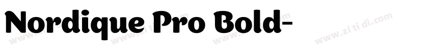 Nordique Pro Bold字体转换